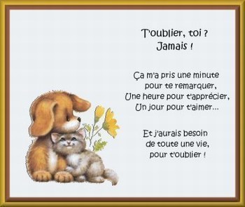 T'oublier toi? jamais!!